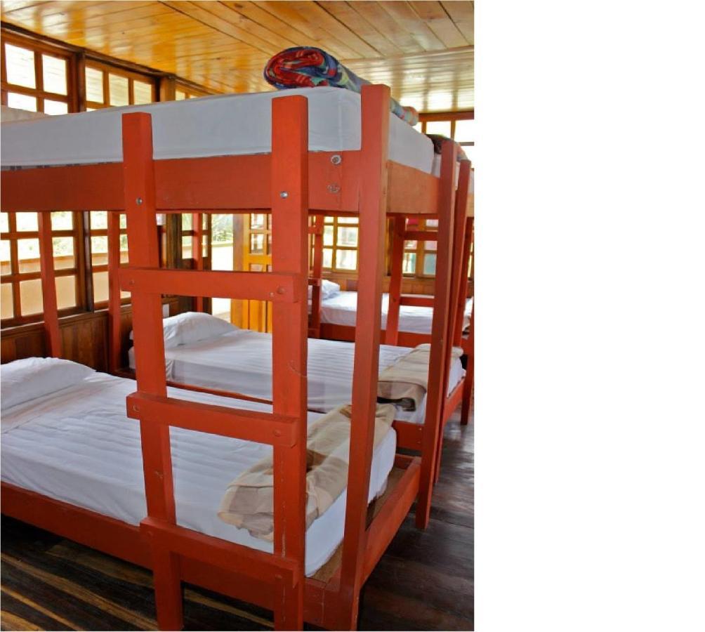 Coral Reef Surf Hostel And Camp Tamarindo Habitación foto