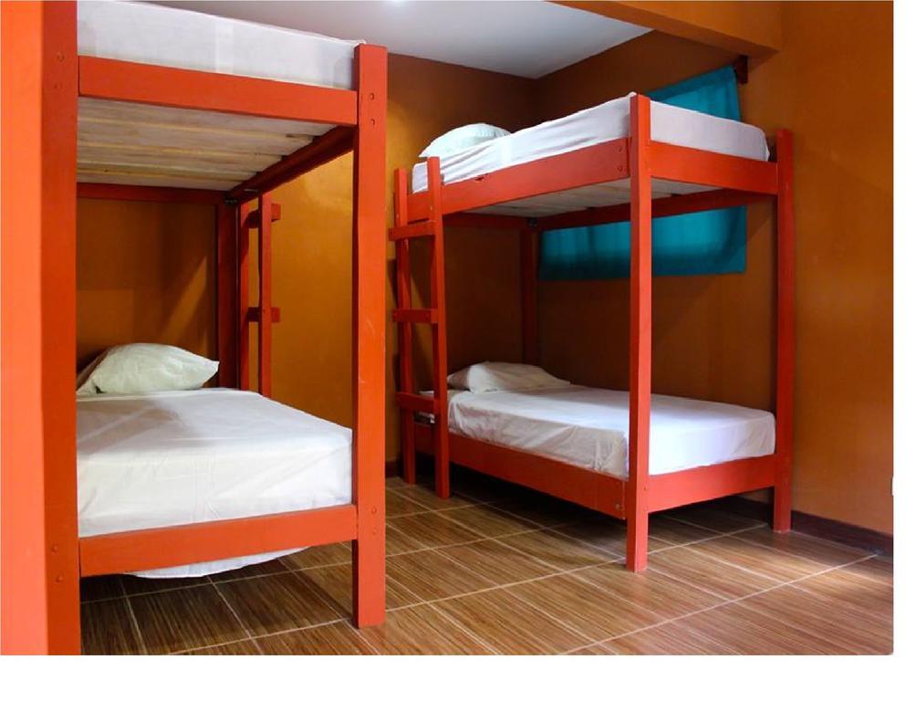 Coral Reef Surf Hostel And Camp Tamarindo Habitación foto