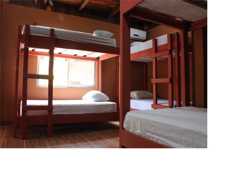 Coral Reef Surf Hostel And Camp Tamarindo Habitación foto